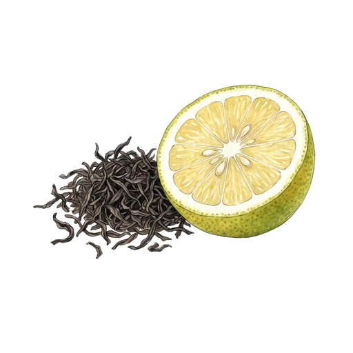 watercolor — Earl Grey