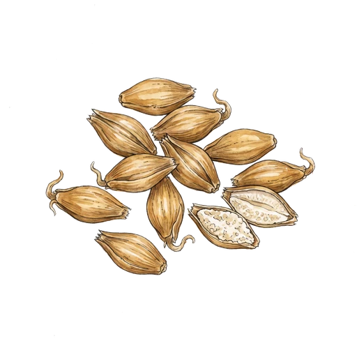 watercolor — Malt
