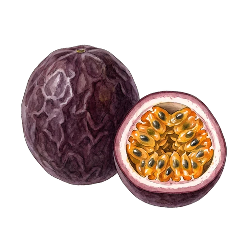 watercolor — Passion Fruit