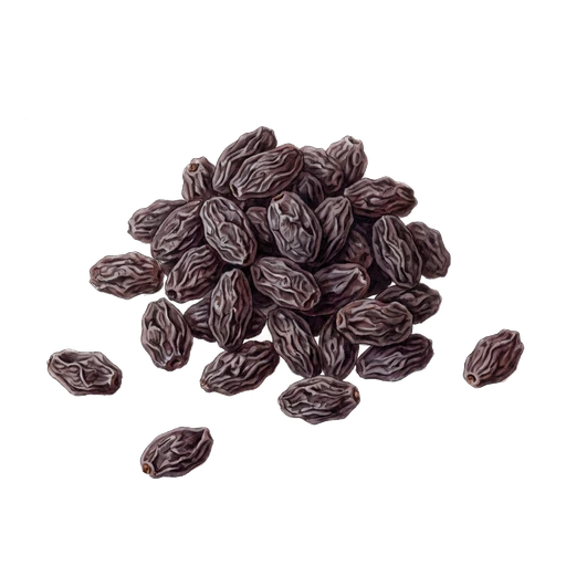watercolor — Raisin