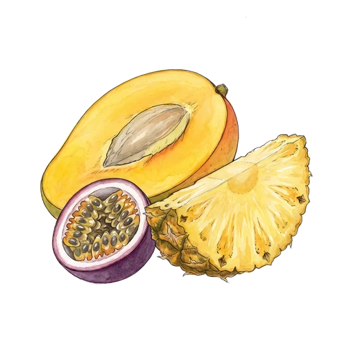 watercolor — Tropical Fruit